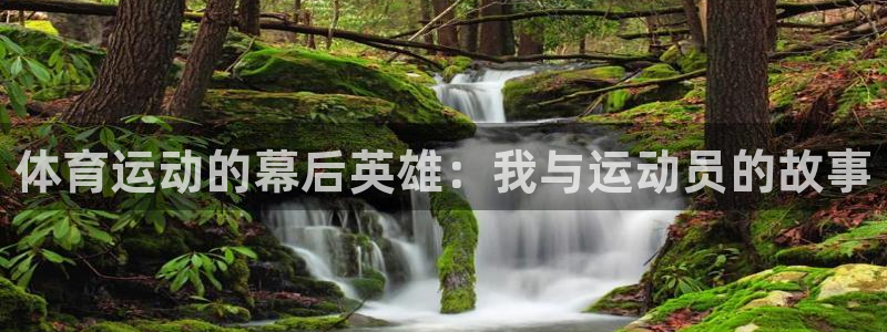 JJB竞技宝官方正版app集团E.ON:体育运动的幕后英雄: