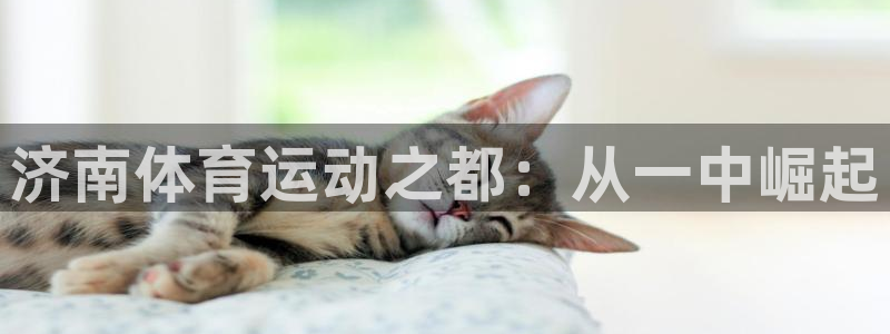 JJB竞技宝官网下载招商电话地址:济南体育运动之都:从一中崛